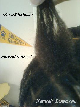 Natural hair, Natural Hair Transition